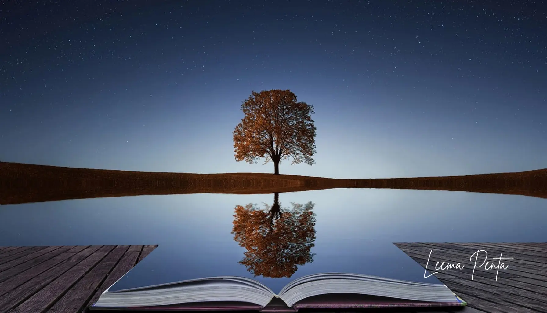 The Importance of Self-Reflection - Infinite Gratitude - authorleemapenta